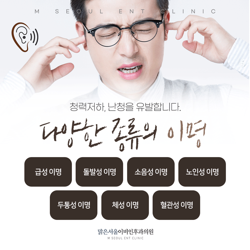 의정부 이명 갑작스럽게 찾아오는