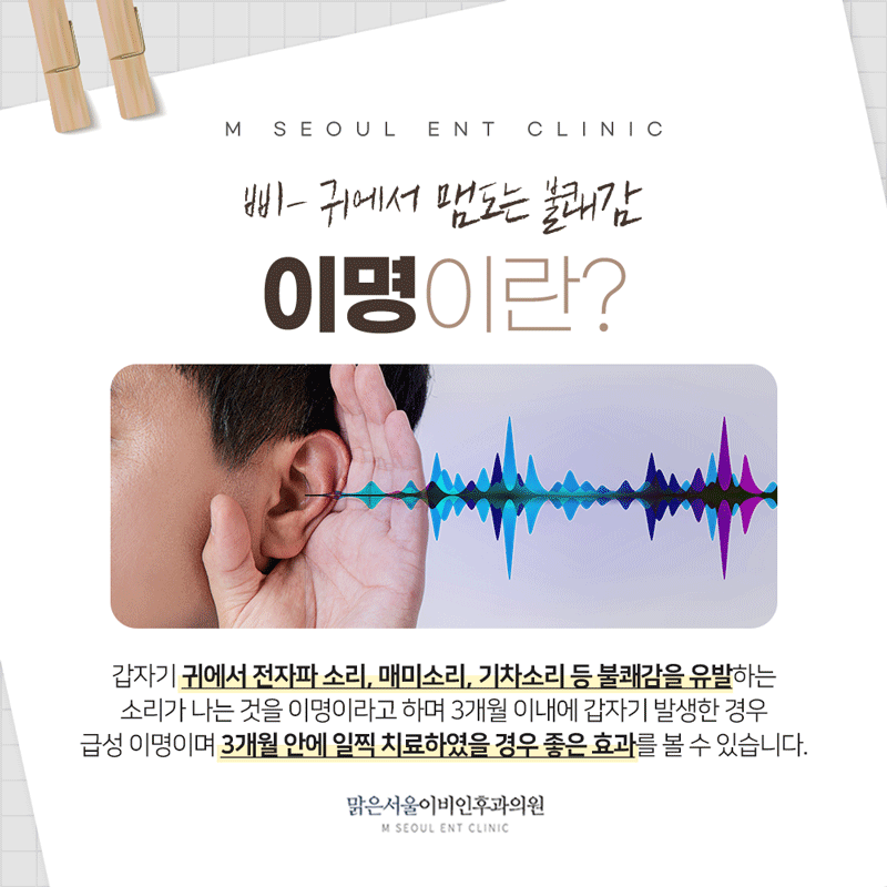 의정부 이명 갑작스럽게 찾아오는
