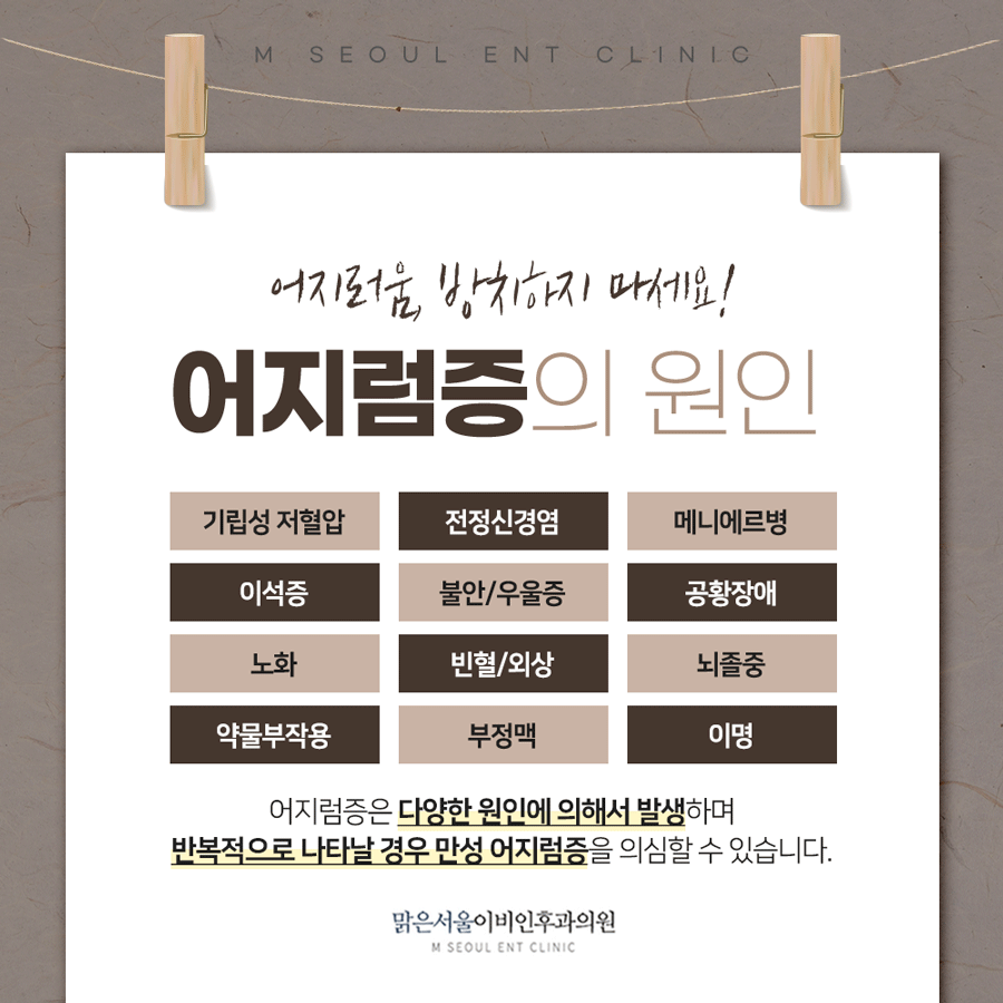 의정부어지럼증 원인에 따라서