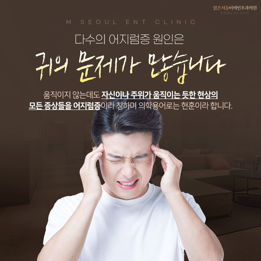 의정부어지럼증 원인에 따라서