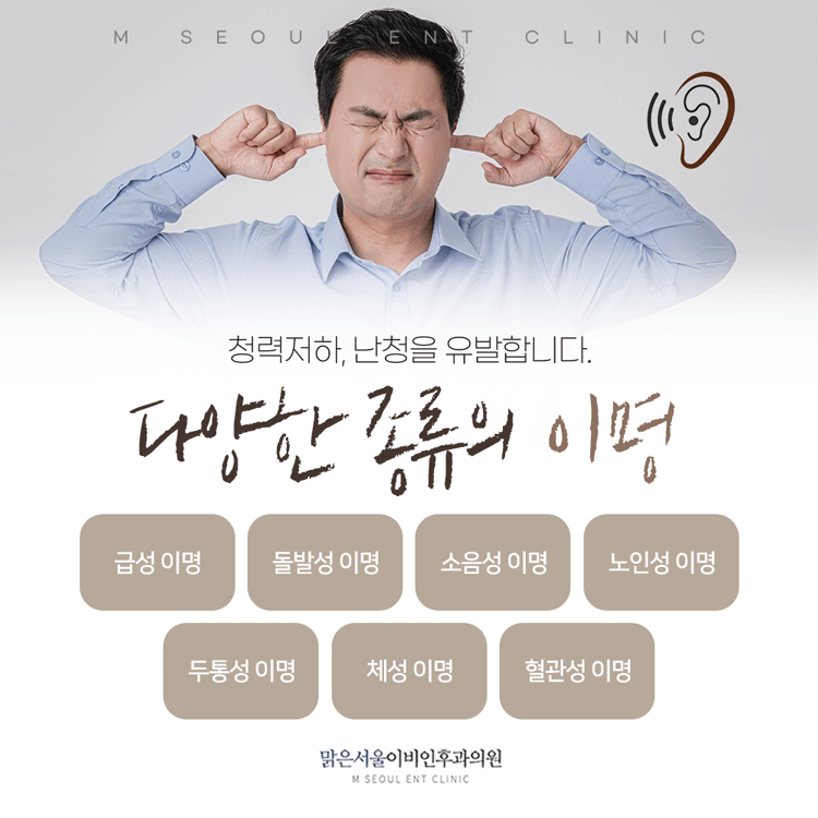 의정부 이명 갑자기 찾아오는