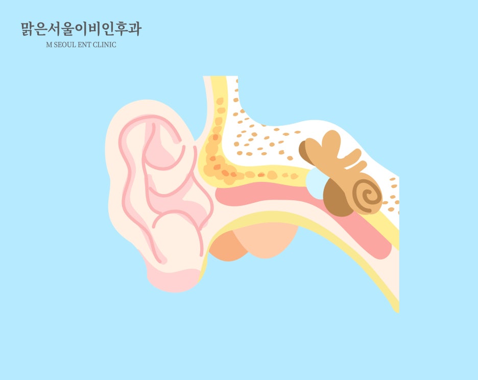 청각장애 원인과 자가진단법은? [진접이비인후과]