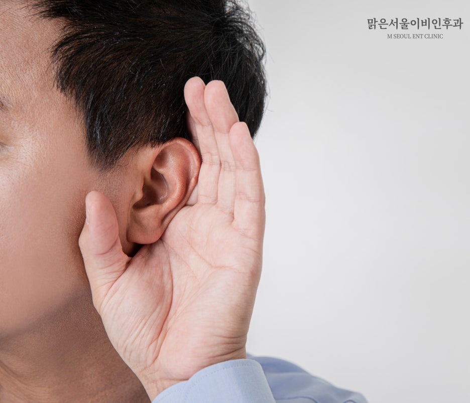 이명 치료법은 [어룡역이비인후과]