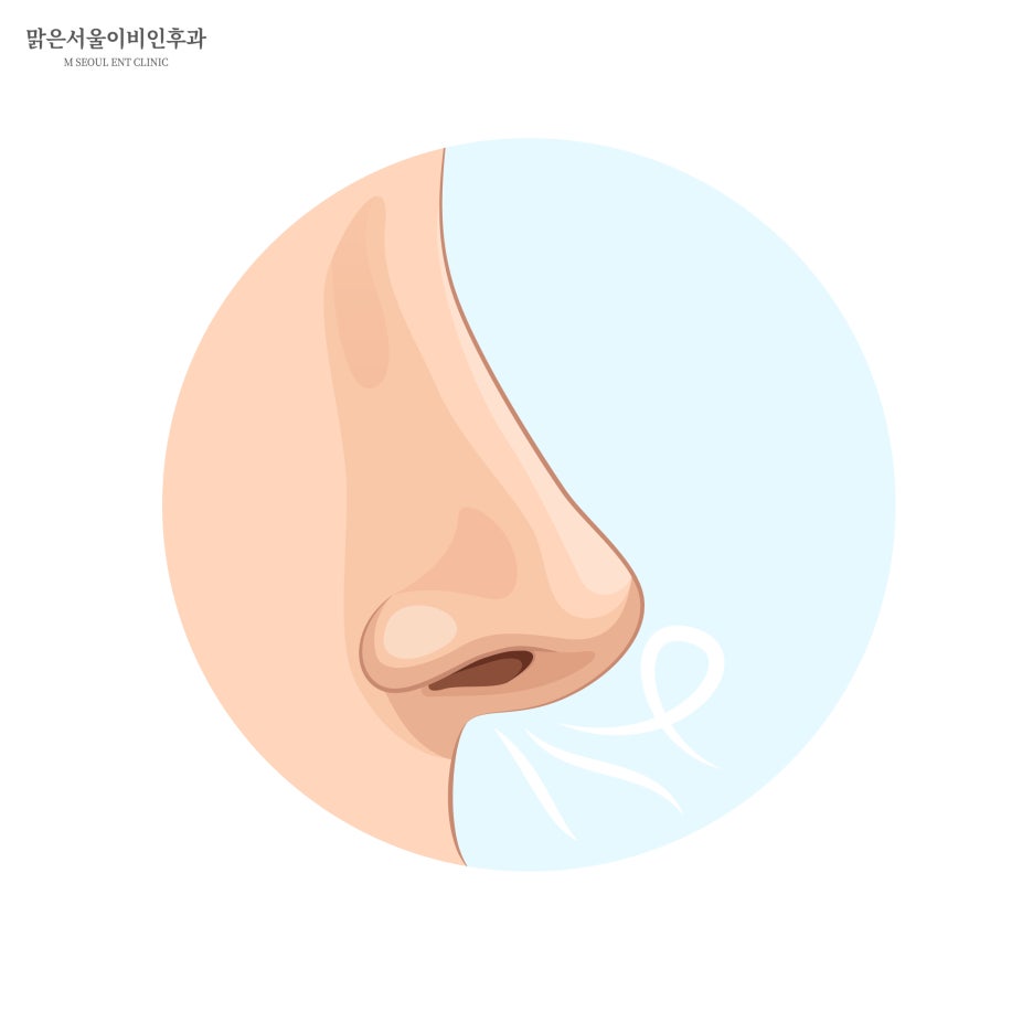 후각장애 원인과 종류는[의정부이비인후과]