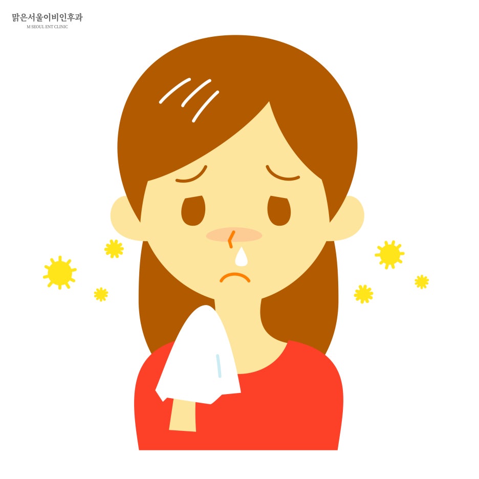 비염 원인과 치료법은 [양주이비인후과]