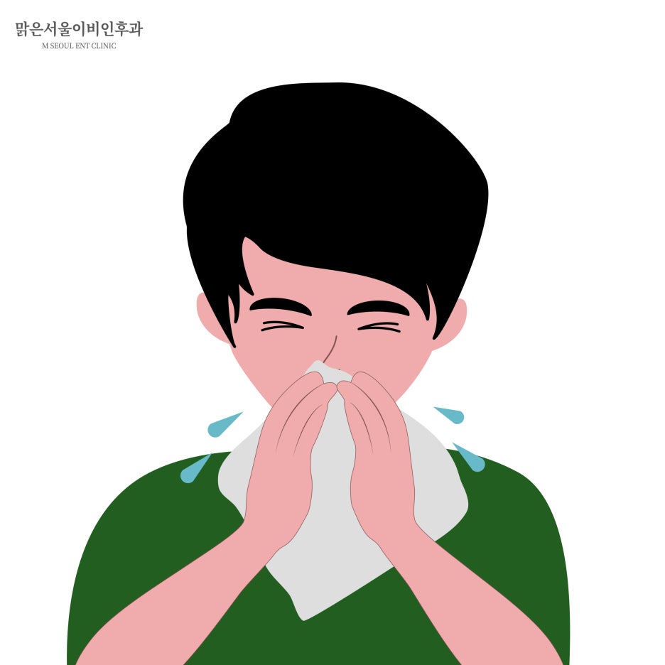 여름비염 원인은 무엇일까 [노원이비인후과]