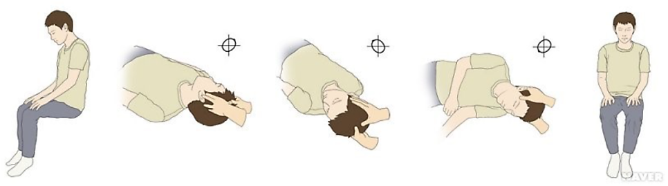 출처 : 네이버 지식백과