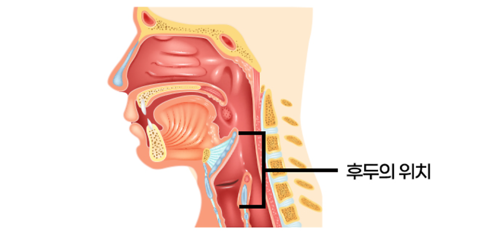 목이 아프거나 목소리가 변한것 같으신가요?[동두천이비인후과][의정부후두염]