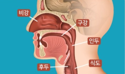 봄철 주의해야할 비인두염을 아시나요?[하남이비인후과]