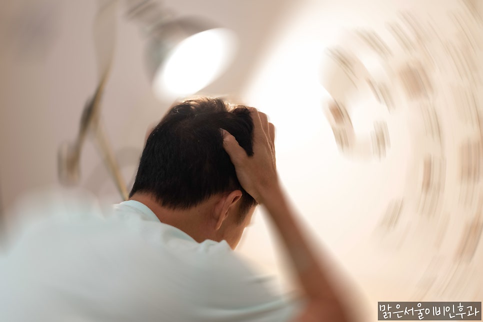 의정부 어지럼증 원인은 귀에 있습니다. 이석증, 메니에르병, 전정신경염