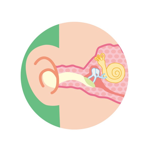 본격적인 물놀이의 계절 외이도진균증을 주의하세요![하남이비인후과]
