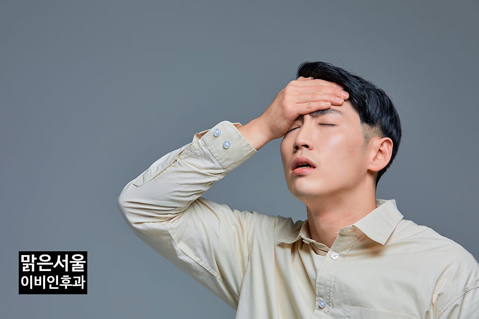 어지럼증의 원인은 무엇인가요? [의정부 어지럼증][의정부역이비인후과]