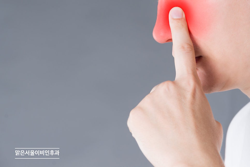 비염의 원인과 증상은? [구리이비인후과][의정부 비염]
