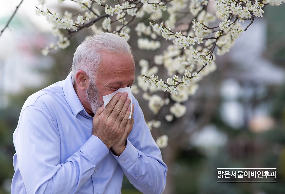 비염의 원인과 증상은? [구리이비인후과][의정부 비염]