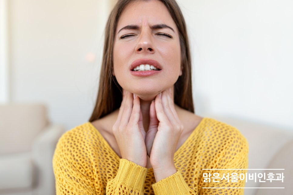 편도질환의 원인은? [양주이비인후과]