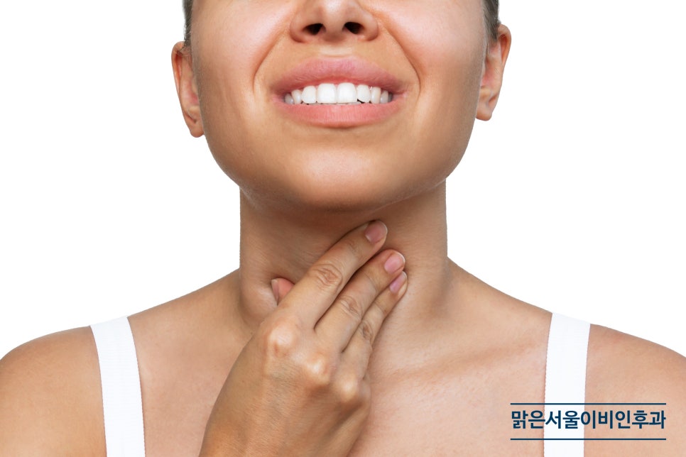 편도질환의 원인은? [양주이비인후과]