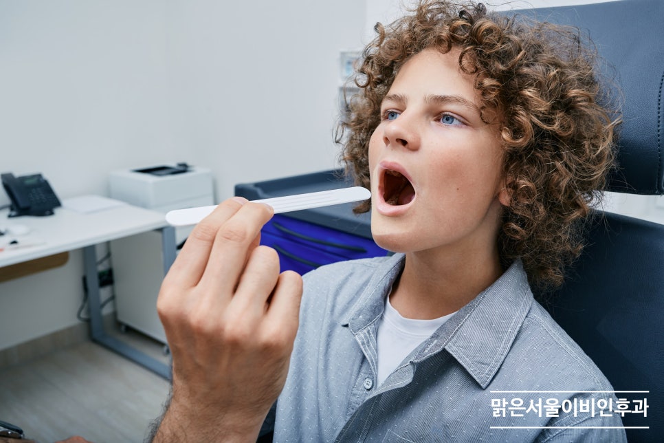 편도질환의 원인은? [양주이비인후과]