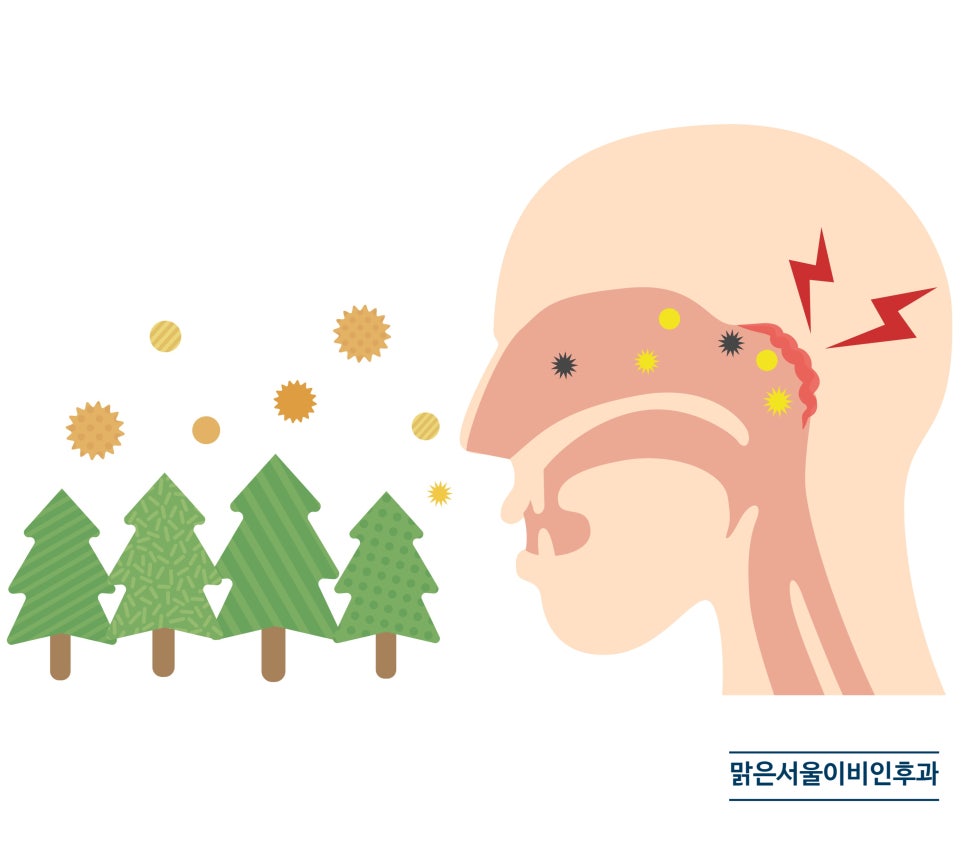 코세척 하는 방법은 무엇일까요? [의정부이비인후과]