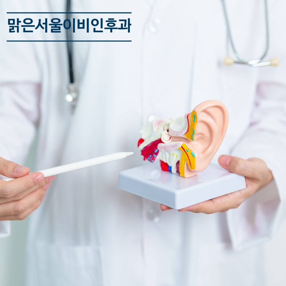 이석치환술은 어떻게 치료할까? [민락동이비인후과]