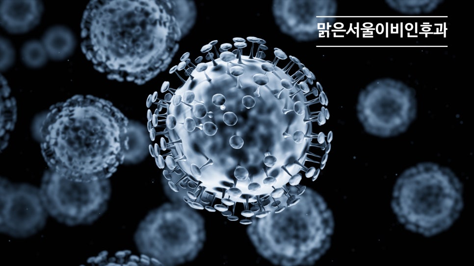 코로나19 재유행? [별내이비인후과]