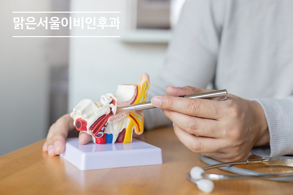 외이도염이 청력에 미치는 영향은? [노원이비인후과]