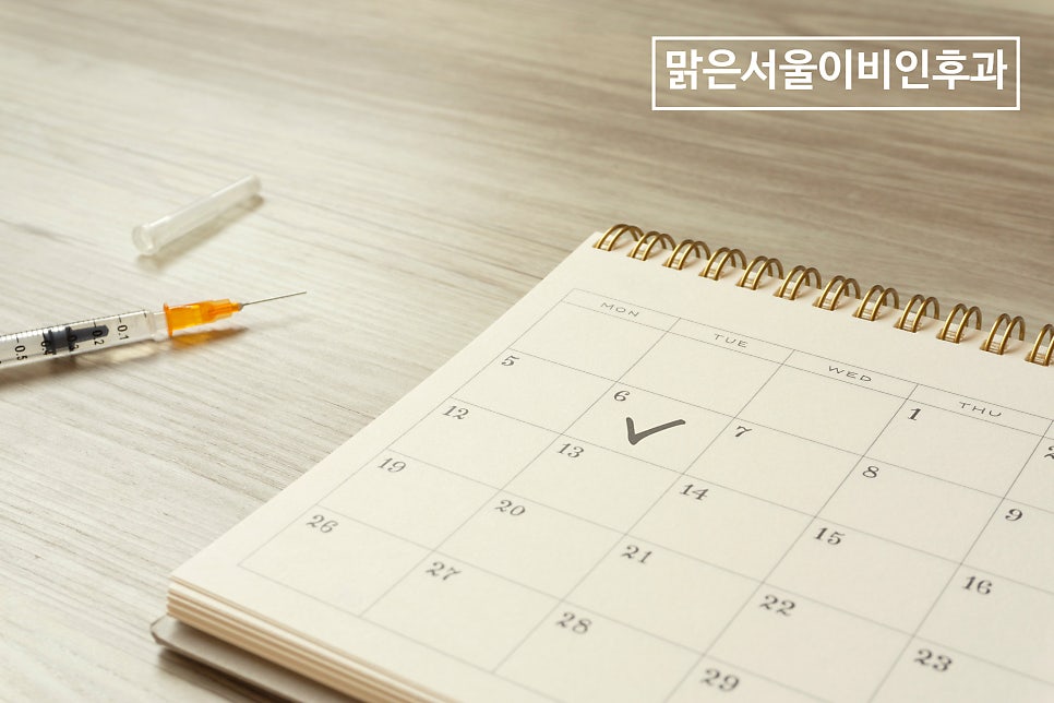 독감 접종 무료 대상자는? [노원이비인후과]