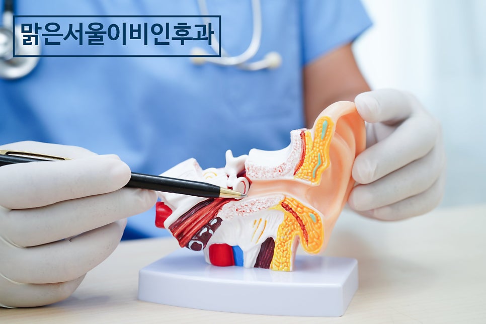 보청기는 어떻게 관리 할까요? [남양주이비인후과]