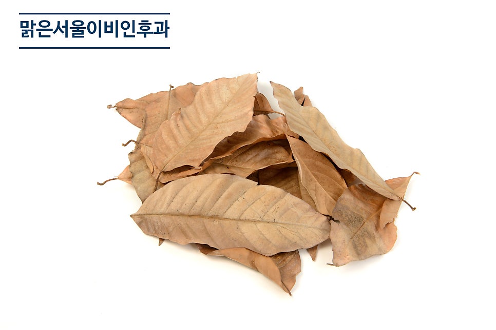 인후건조증 ! 목이 마르고 마른기침이 나온다면? [의정부이비인후과추천]