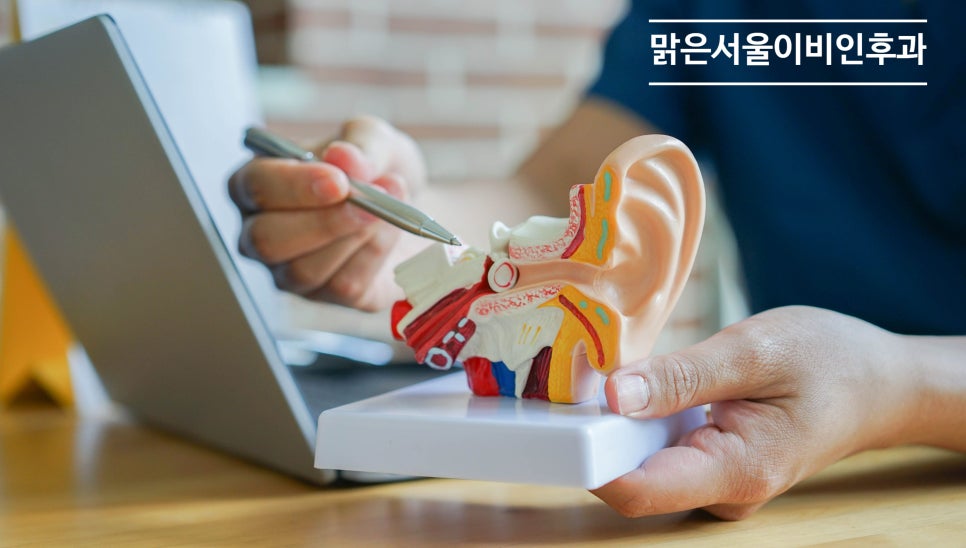 코를 너무 세게 풀면 귀가 아파요 [고막천공][의정부이비인후과]