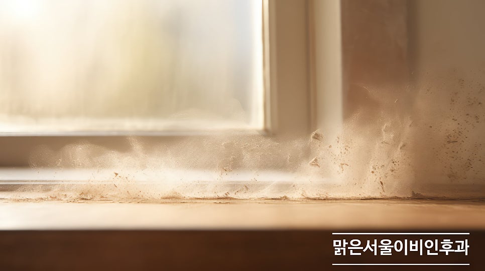 실내 공기질을 관리해야 호흡기 질환 예방! [노원이비인후과]