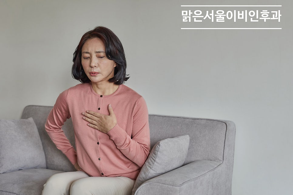 실내 공기질을 관리해야 호흡기 질환 예방! [노원이비인후과]