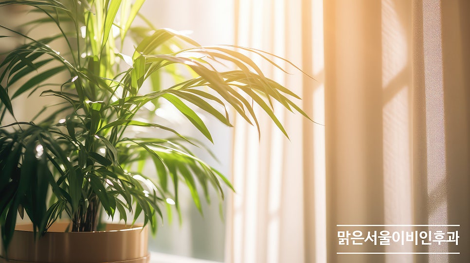 실내 공기질을 관리해야 호흡기 질환 예방! [노원이비인후과]