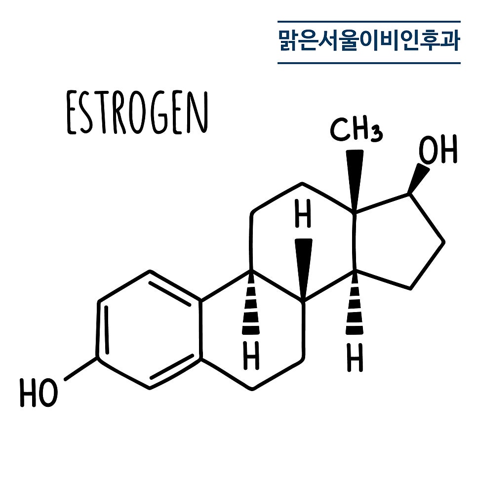 임신하면 비염 증상이 나타날 수 있어요! [임신성비염][의정부비염]