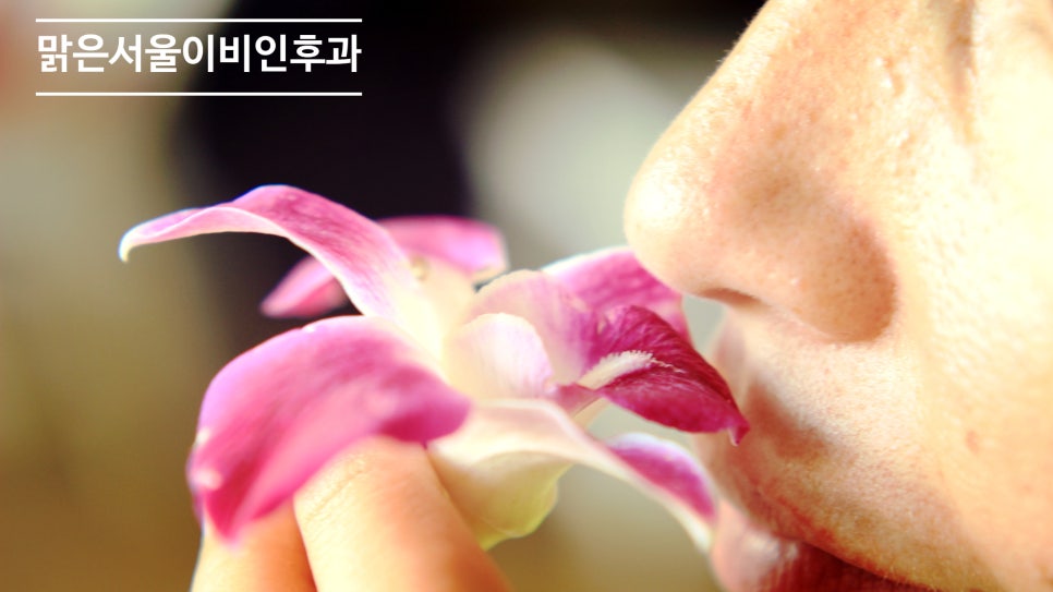 [구리이비인후과] 후각장애도 여러 종류가 있습니다