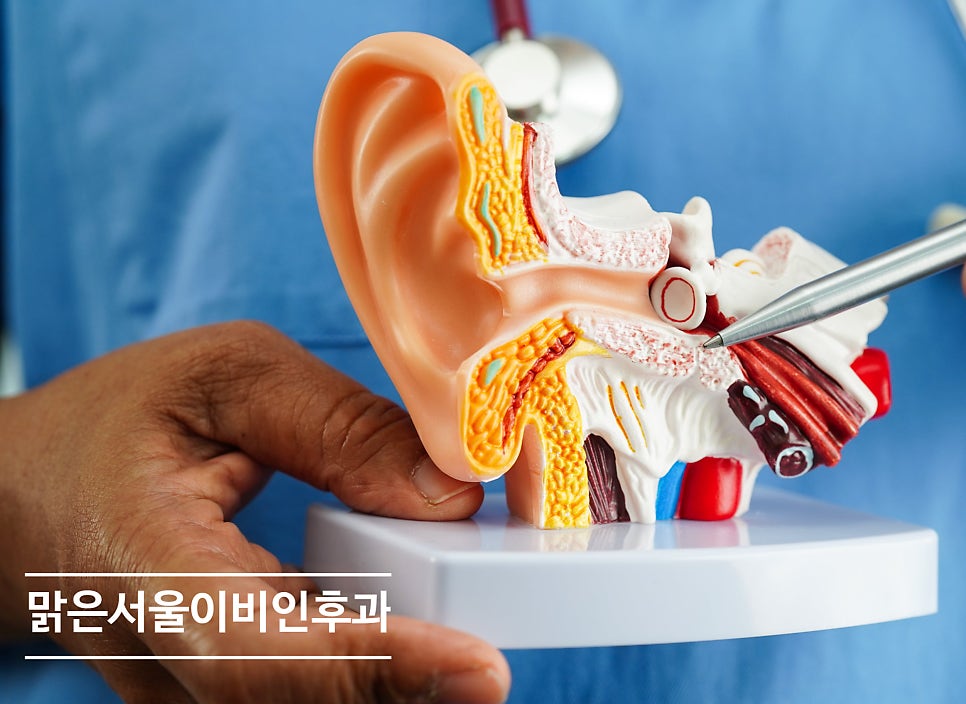 [별내이비인후과] 갑자기 소리가 안 들린다면? 돌발성 난청?