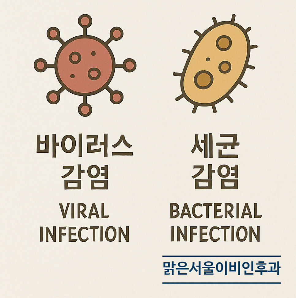 [노원이비인후과] 봄철에 찾아오는 인후통!