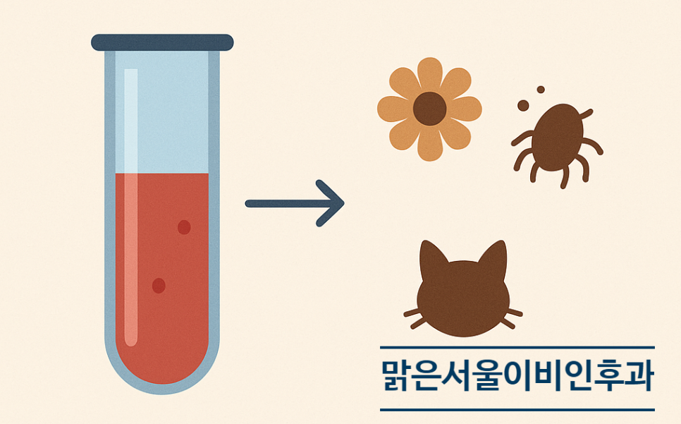[연천이비인후과] MAST검사 어떻게 진행되나요?