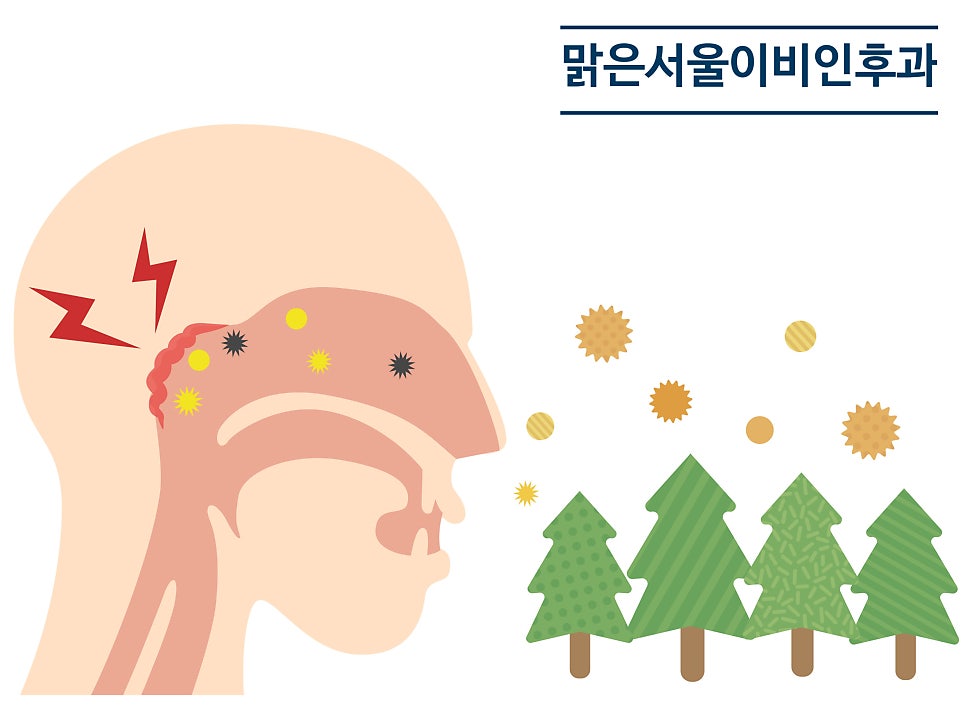 [연천이비인후과] MAST검사 어떻게 진행되나요?