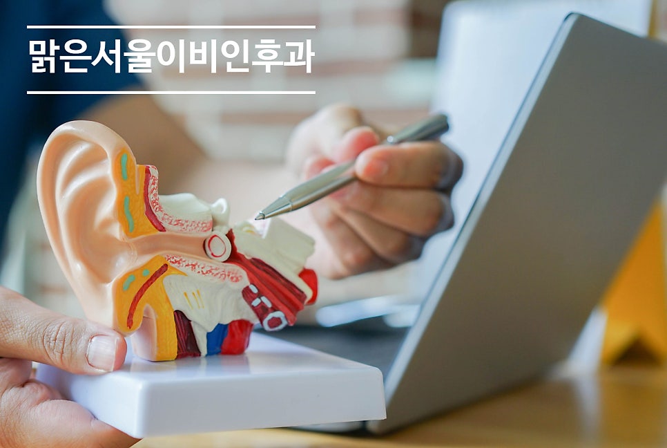 [의정부역이비인후과] 갑자기 찾아오는 난청 방치하면 청력 손실!