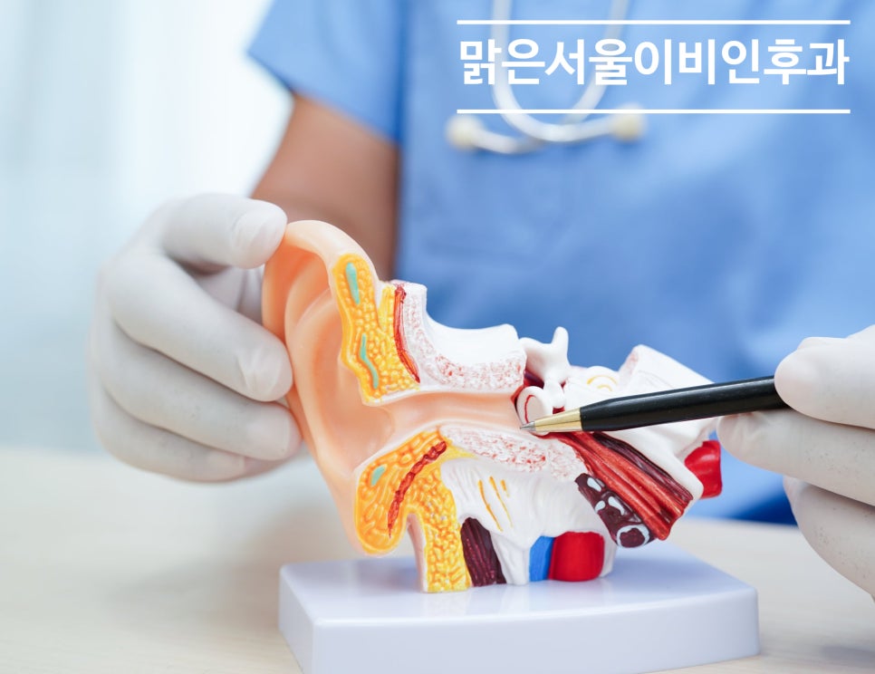 [의정부중이염] 삼출성 중이염을 아시나요?