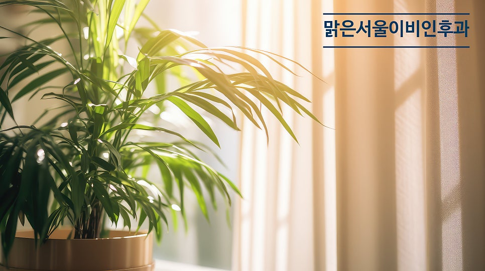 [연천이비인후과] 코막힘이 심하다면? 비중격만곡증 의심!