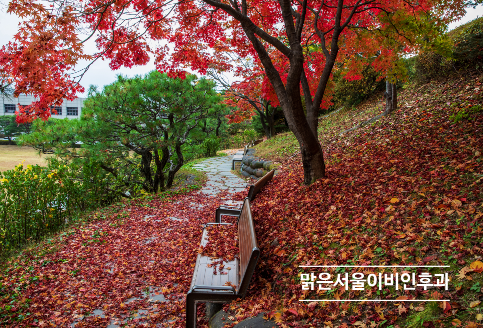 [민락동이비인후과] 비염이 심해지는 시기! 비염치료방법은?