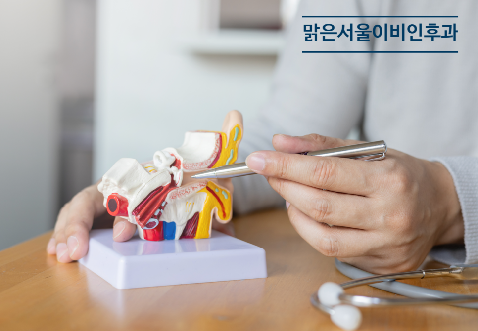 [포천이비인후과] 이석증은 왜 생길까?