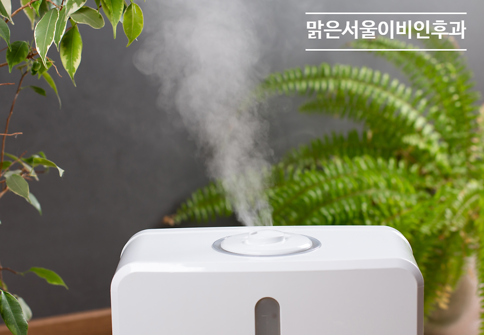 [의정부이비인후과] 코가 건조하다면? 어떤 질병에 취약할까요?