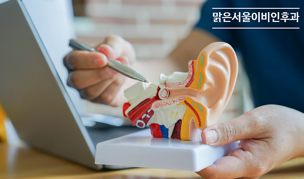 [민락동이비인후과] 코를 너무 세게 풀면 귀가 아픈 이유는?