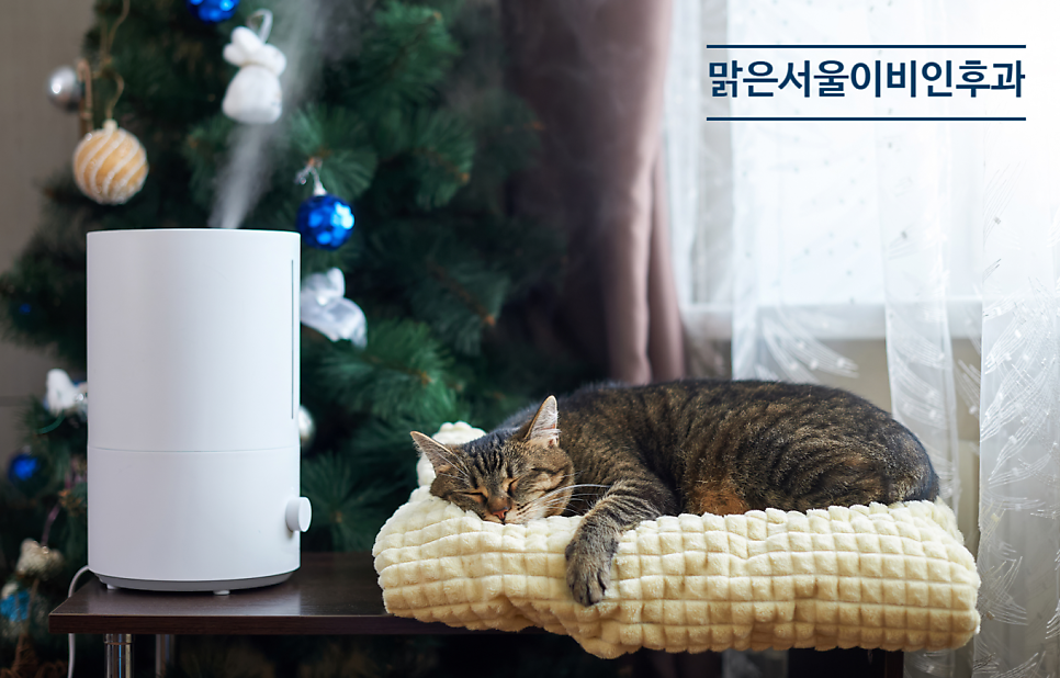 [연천이비인후과] 올바른 가습기 사용법은?