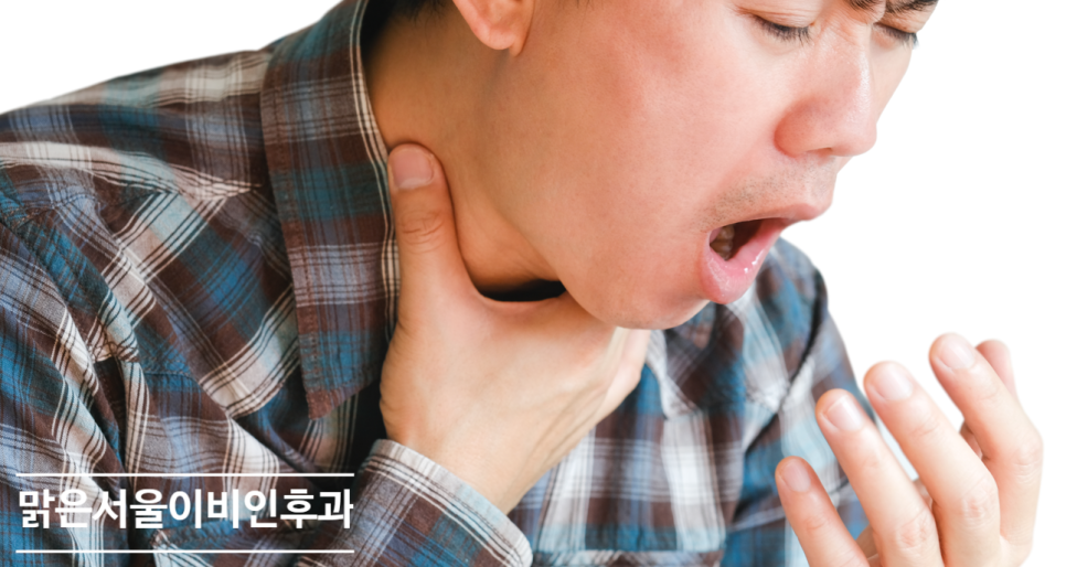 [노원이비인후과] A형독감, B형독감의 차이는 무엇일까?