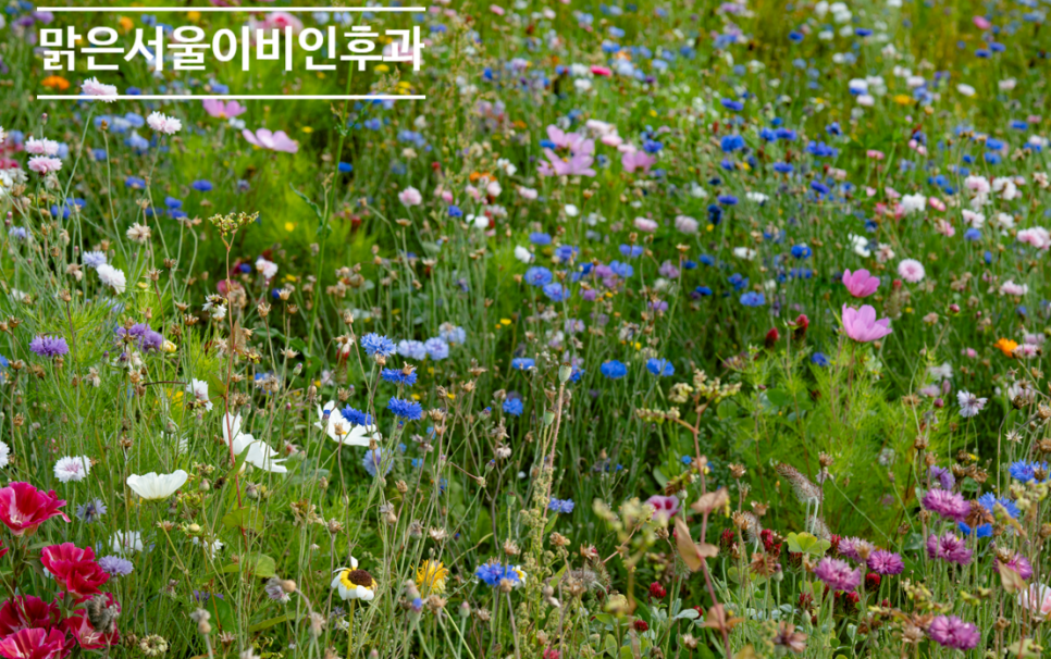 [구리이비인후과] 외출 후 가려움이 심하다면 햇빛알레르기?