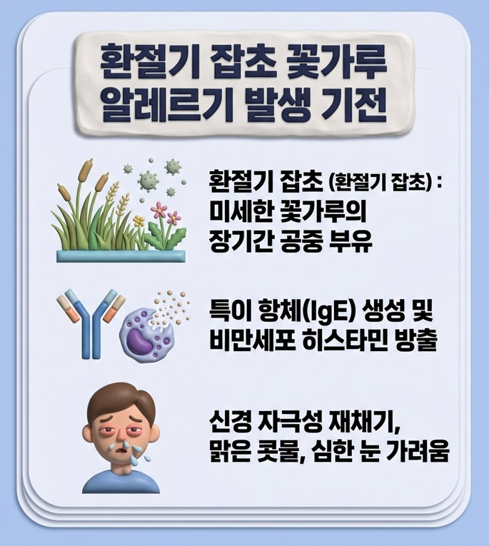 [노원이비인후과] 봄에만 있는 줄 알았던 꽃가루 알레르기, 가을 환삼덩굴 때문에 코·눈이 가렵다면