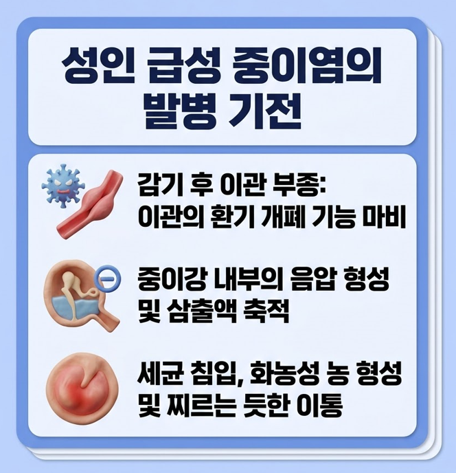 [양주이비인후과] 감기 다 나았는데 귀만 계속 아프다면, 성인 급성 중이염 의심